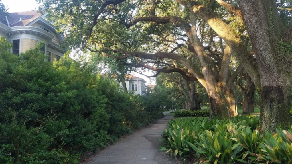 Exposition Boulevard today.