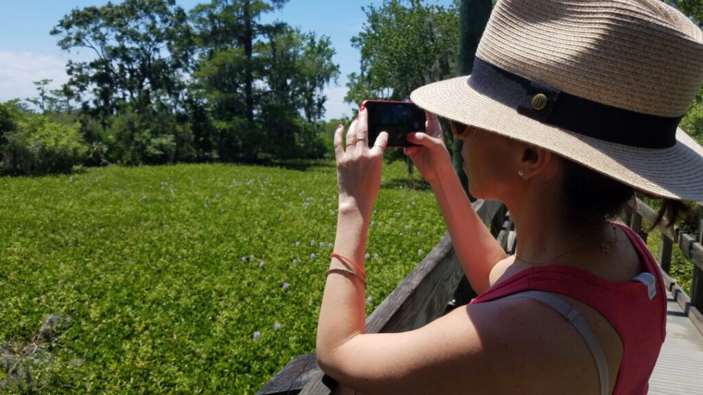 Water hyacinth clogs up waterways at Jean Lafitte National Historical Park & Preserve and many other nearby spots.