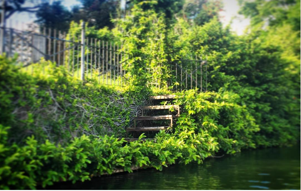 Source: https://www.instagram.com/p/BEDBJl3tZMi/?utm_source=ig_embed&ig_rid=b9bdc0c1-6c35-4b4a-8b8d-4da2bd6a70c7