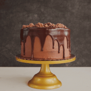 Chocolate Peanut Butter Cake